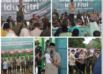 Pemerintah Bangun Pembatas 138 Km di Way Kambas, Solusi Permanen Konflik Gajah dan Manusia
