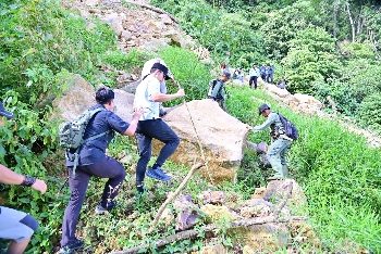 Longsor Gunung Rajabasa: Bupati Egi Naik 3 Km, Tanam Pohon Cegah Bencana Susulan
