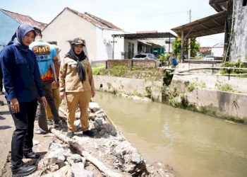 Eva Dwiana Cek Drainase dan Siapkan Pelebaran Gorong-gorong di Tanjung Senang