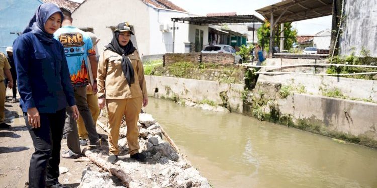 Eva Dwiana Cek Drainase dan Siapkan Pelebaran Gorong-gorong di Tanjung Senang